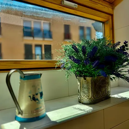 Atico Guara&pirineos Lägenhet