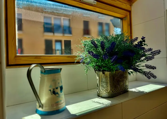 Atico Guara&pirineos Lägenhet